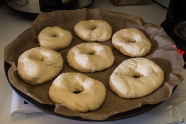 Bagels waiting to be boiled