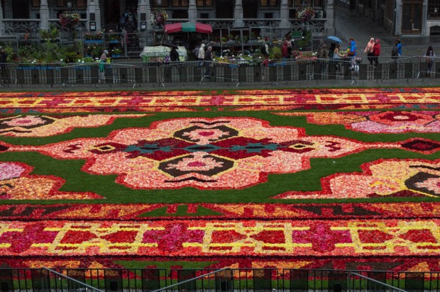 carpet of flowers from above - centerpiece 2