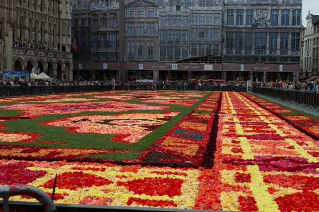 Flower carpet 1