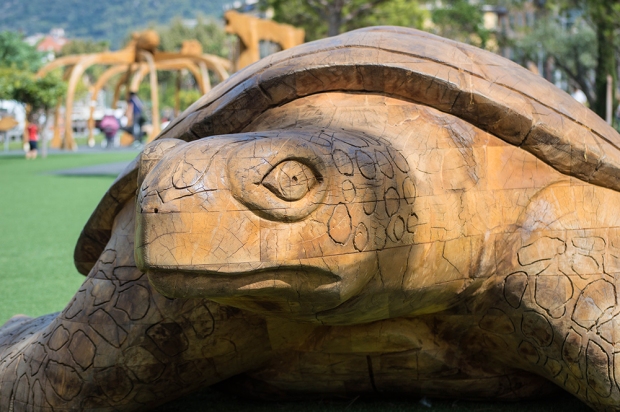 giant wooden turtle - Nice