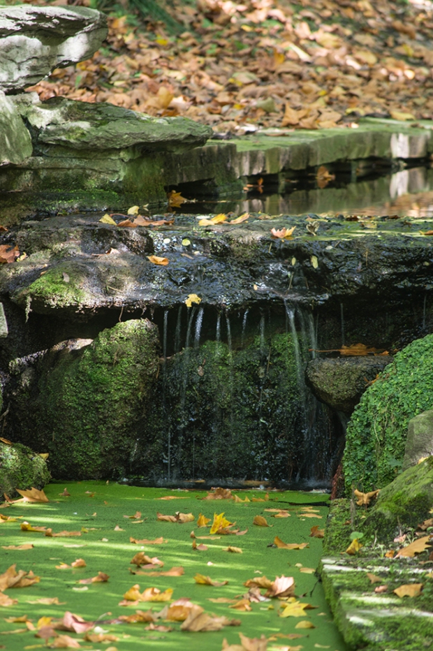 Mini waterfall and algae - Parc Josaphat