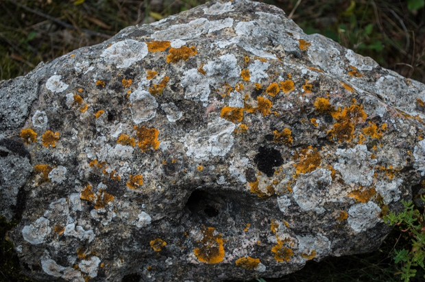 Rock covered in lichen