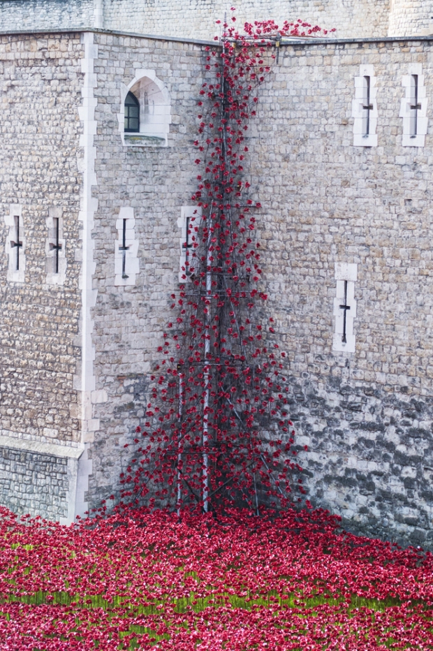 Poppies-cascading-down-the-Tower-of-London